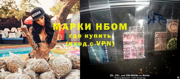 бошки Бронницы