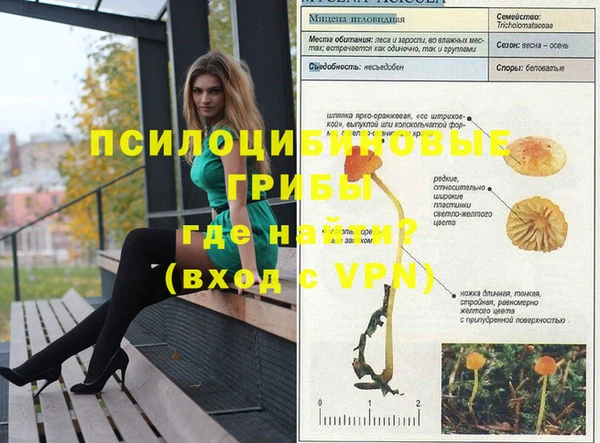 бошки Бронницы