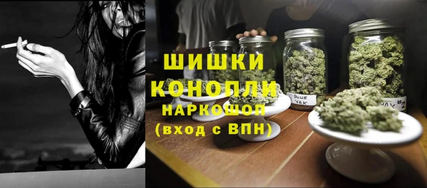бошки Бронницы