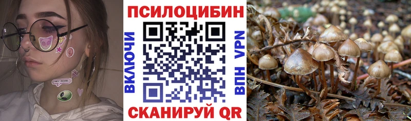 мориарти как зайти  Камбарка  Галлюциногенные грибы прущие грибы 